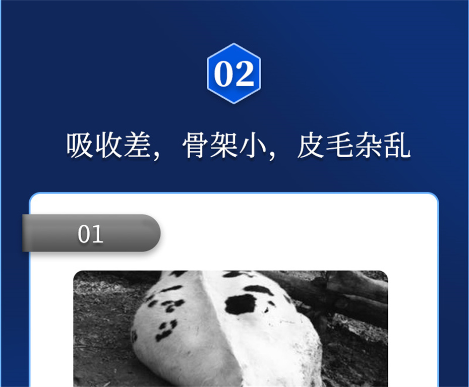吉隆達動(dòng)保牛羊飼料添加劑牛羊元帥產(chǎn)品介紹