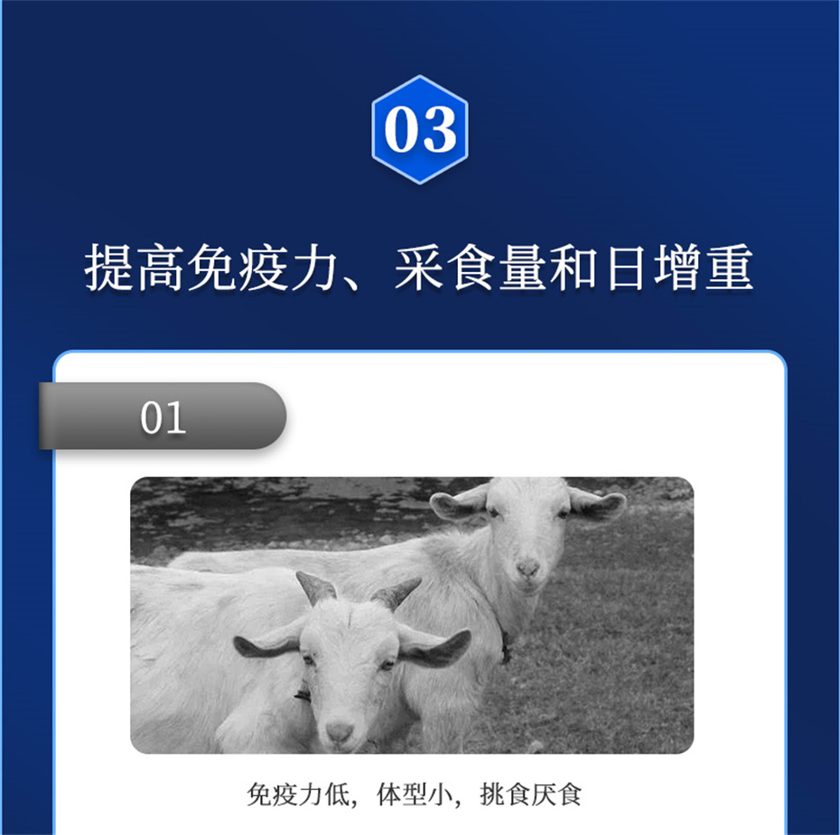 吉隆達動(dòng)保牛羊飼料添加劑牛羊元帥產(chǎn)品介紹