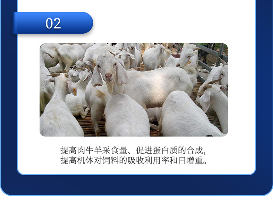 吉隆達動(dòng)保牛羊飼料添加劑牛羊元帥產(chǎn)品介紹