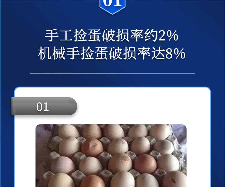 吉隆達動(dòng)保禽飼料添加劑強殼寶產(chǎn)品介紹