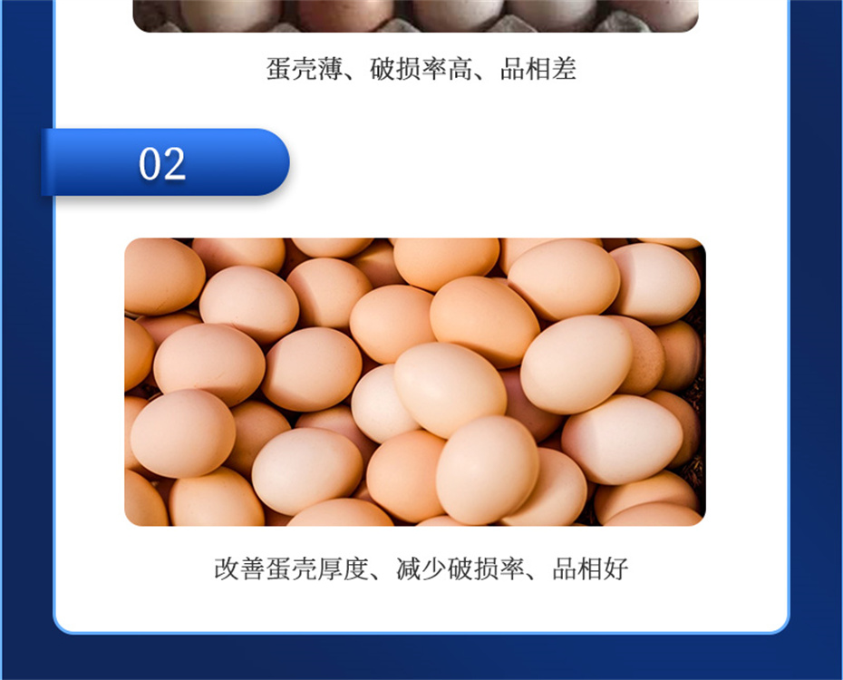 吉隆達動(dòng)保禽飼料添加劑強殼寶產(chǎn)品介紹