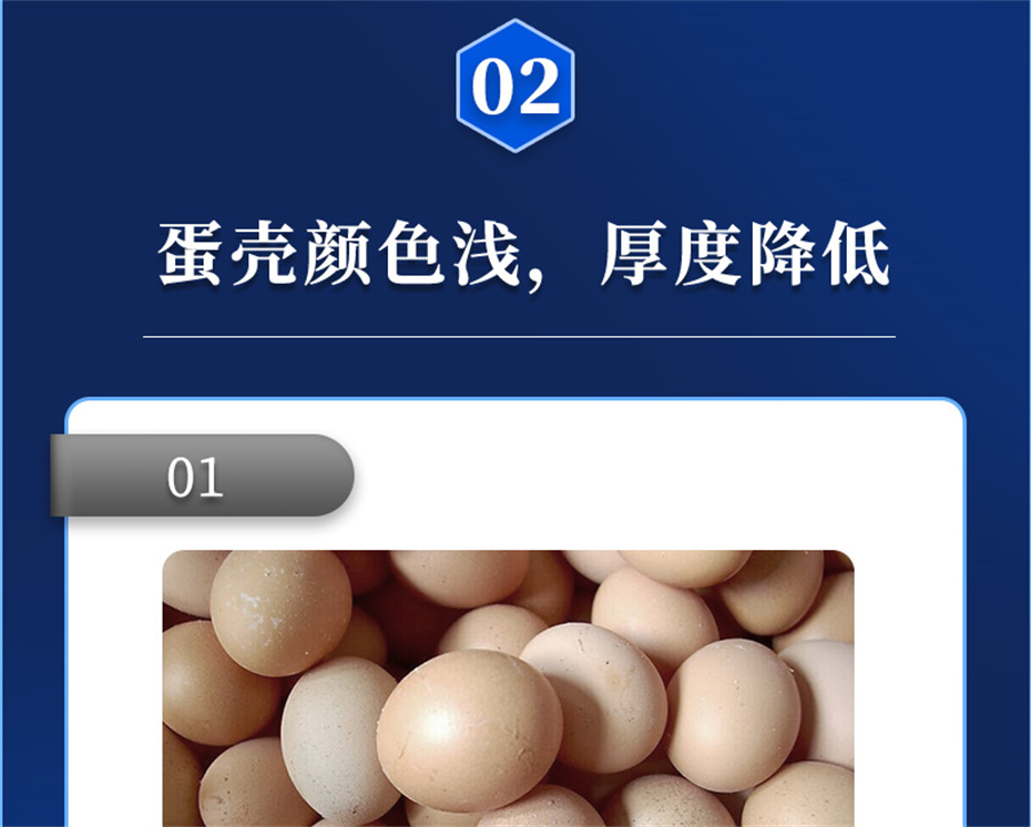 吉隆達動(dòng)保禽飼料添加劑強殼寶產(chǎn)品介紹