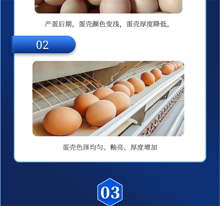 吉隆達動(dòng)保禽飼料添加劑強殼寶產(chǎn)品介紹