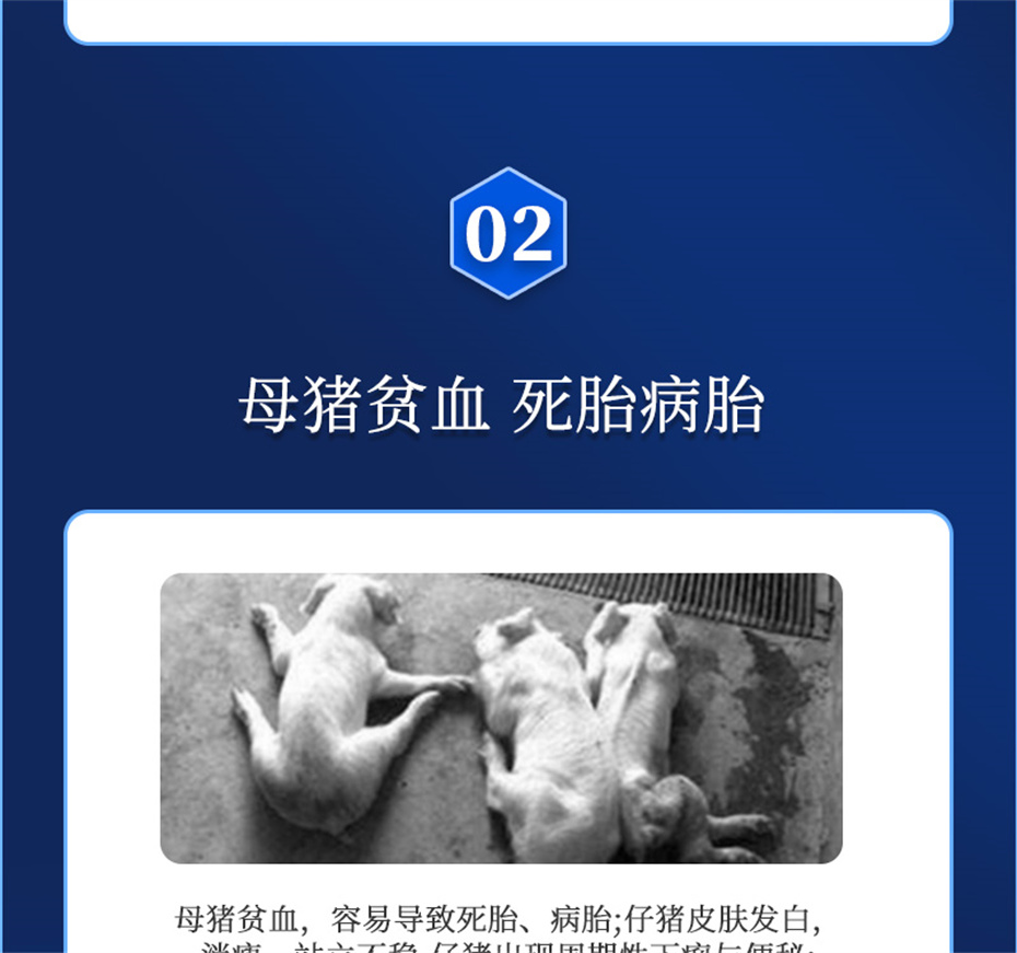 吉隆達動(dòng)保豬飼料添加劑健立血產(chǎn)品介紹