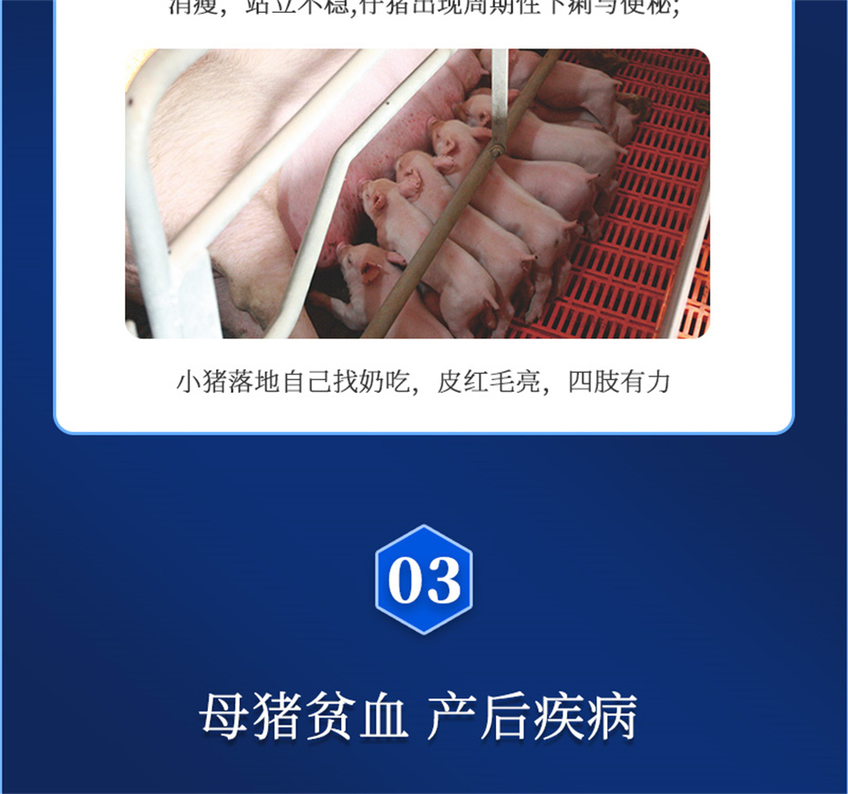 吉隆達動(dòng)保豬飼料添加劑健立血產(chǎn)品介紹