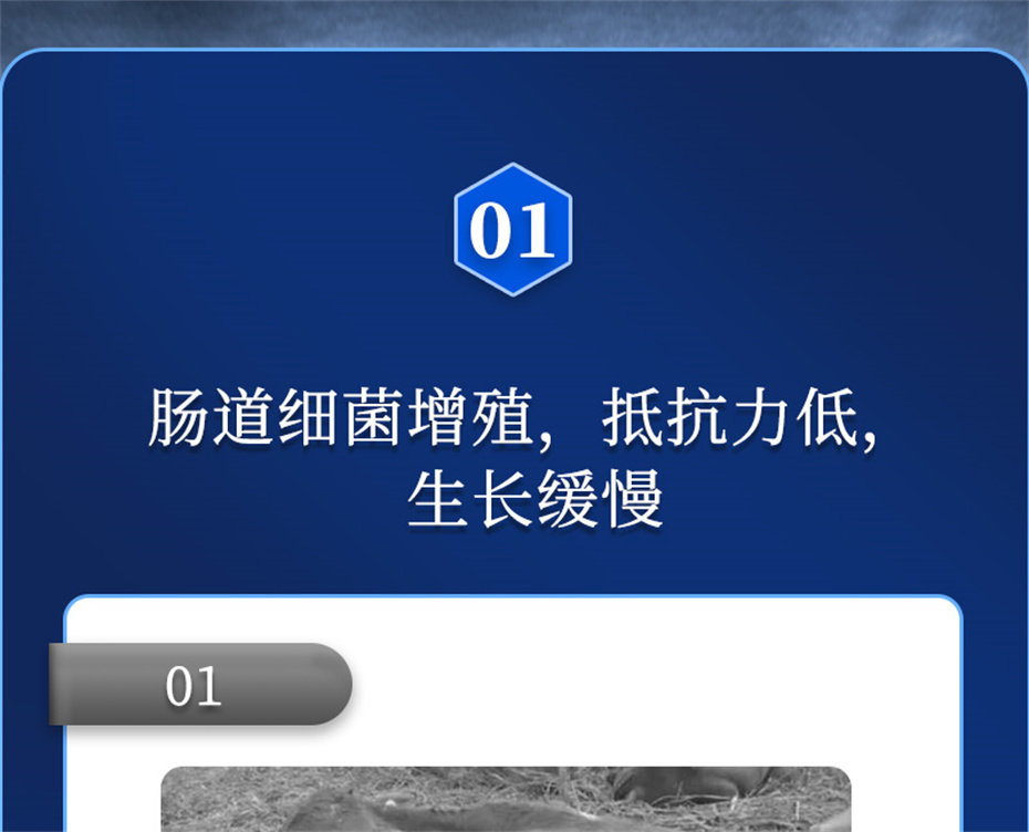 吉隆達動(dòng)保飼料添加劑排毒增免肽產(chǎn)品介紹