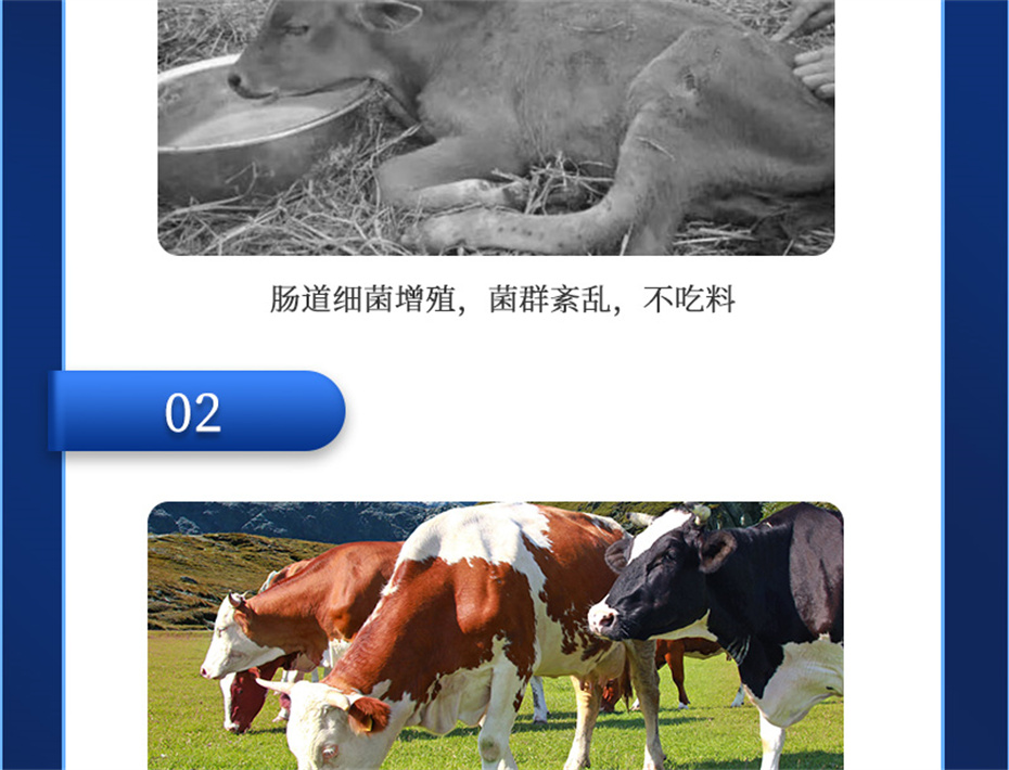 吉隆達動(dòng)保飼料添加劑排毒增免肽產(chǎn)品介紹