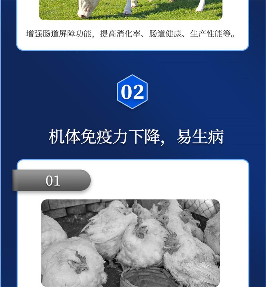 吉隆達動(dòng)保飼料添加劑排毒增免肽產(chǎn)品介紹