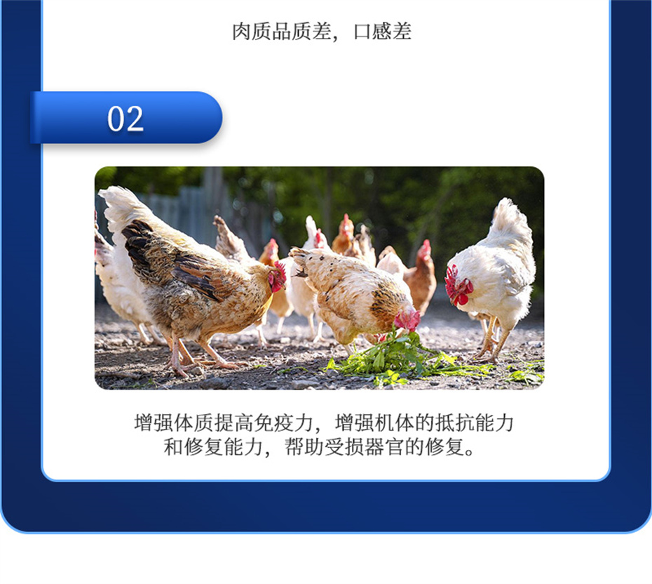 吉隆達動(dòng)保飼料添加劑排毒增免肽產(chǎn)品介紹