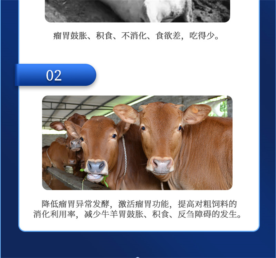 吉隆達動(dòng)保牛羊飼料添加劑胃興plus產(chǎn)品介紹