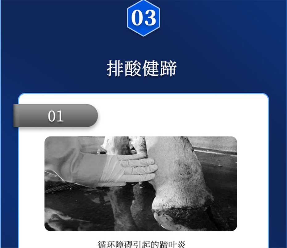 吉隆達動(dòng)保牛羊飼料添加劑胃興plus產(chǎn)品介紹