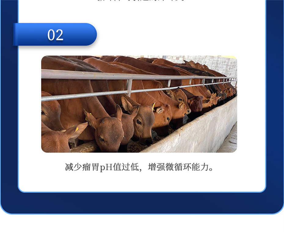 吉隆達動(dòng)保牛羊飼料添加劑胃興plus產(chǎn)品介紹