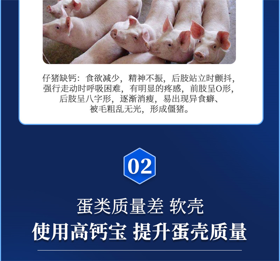 吉隆達動(dòng)保飼料添加劑高鈣寶